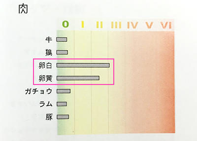 遅延型食物アレルギー検査の卵の結果